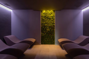 area relax con parete di verde stabilizzato