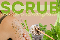 scrub menta lemongrass